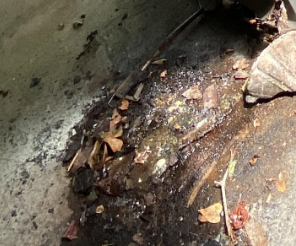 Price- Fire Damage- Smoke and soot cleanup