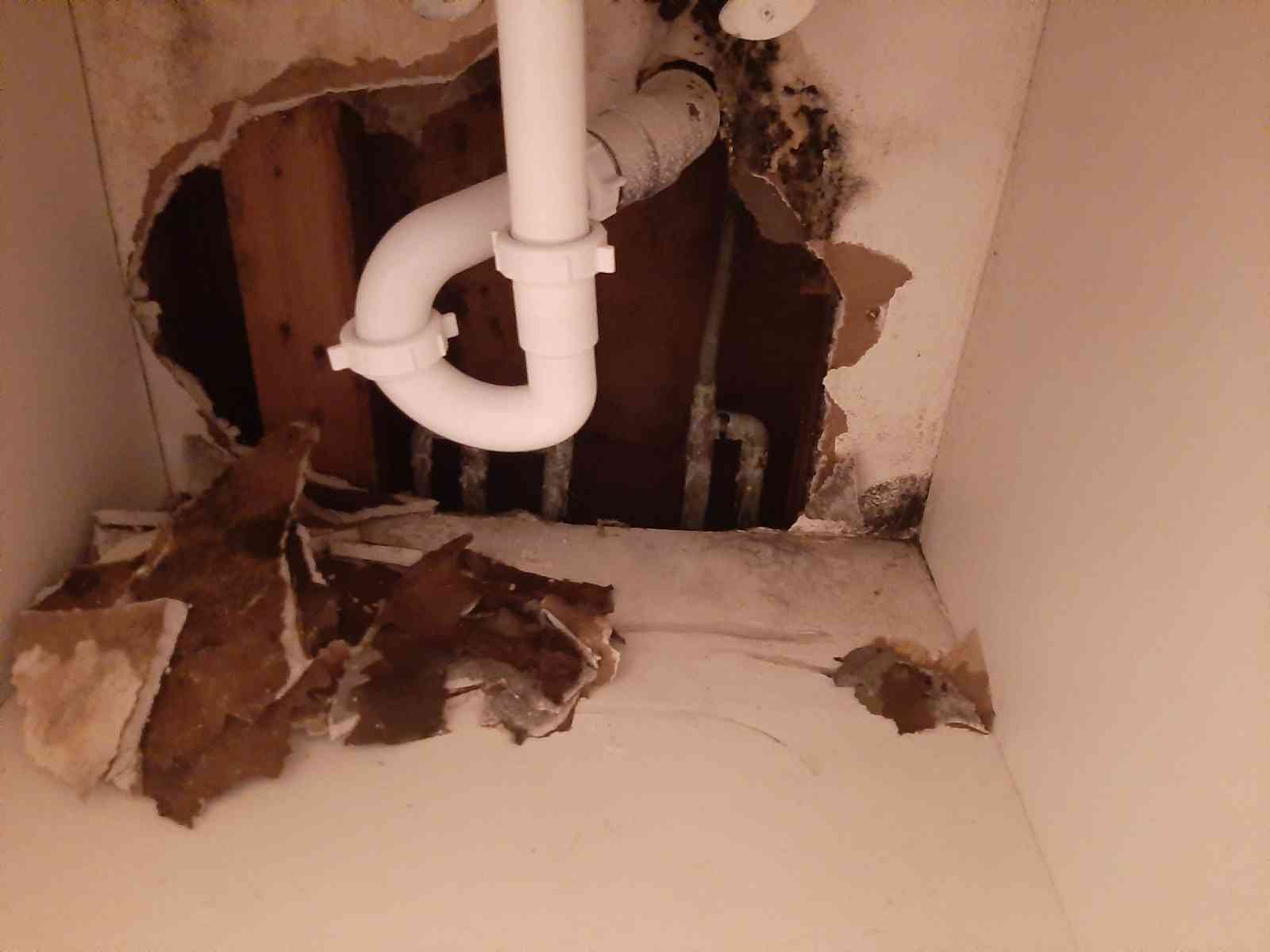 Bathroom Water Damage Port Allen 2