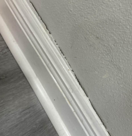 Reed- Water Damage Restoration in Baton Rouge, LA – Washing Machine Overflow Cleanup