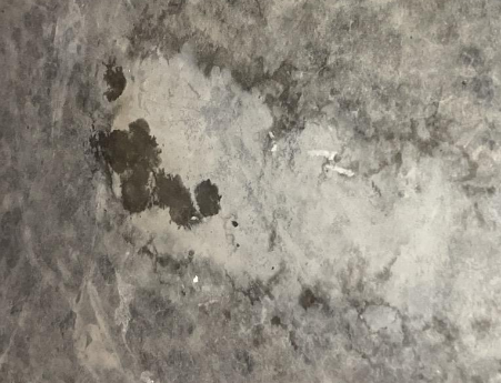 Mold Removal- Mold and mildew cleanup- residenial