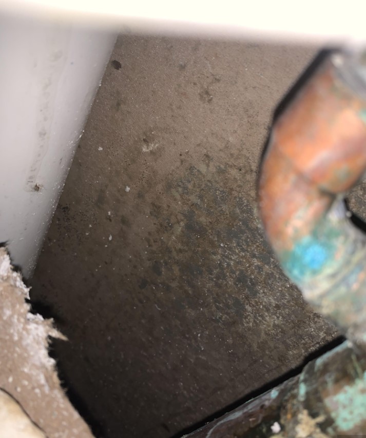 Leaking pipes with mold growth