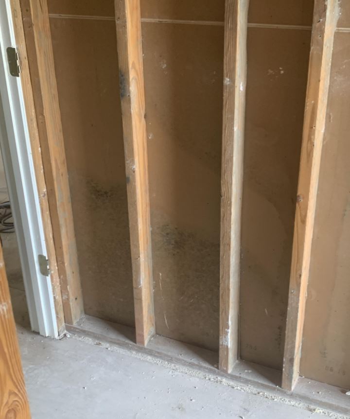 wet wall with mold growth