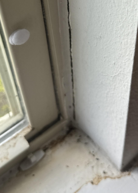 Marckle- Water Damage Restoration from Leaky Windows in Baton Rouge, LA