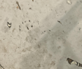 Berry- water damage- restoration - mitigation