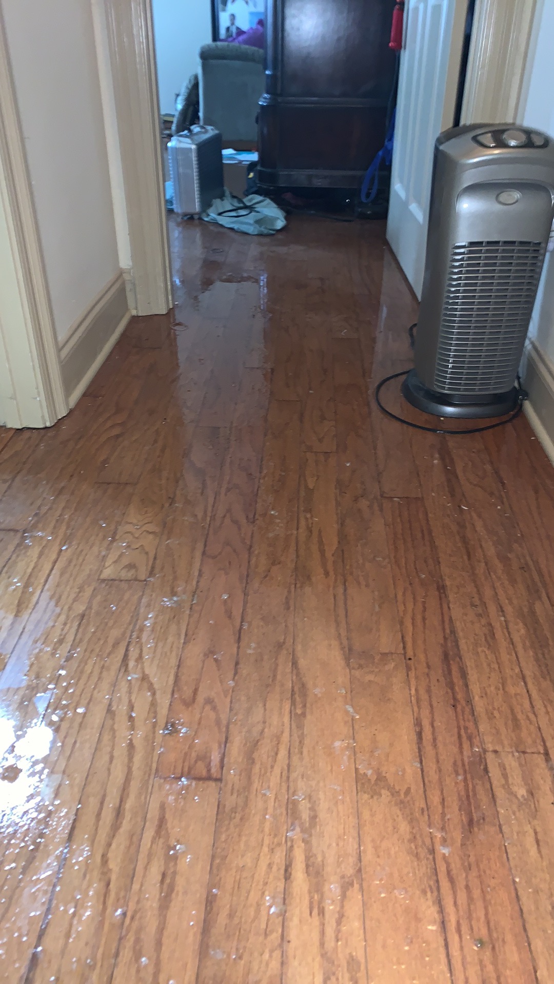 Hallway Water Damage Prairieville