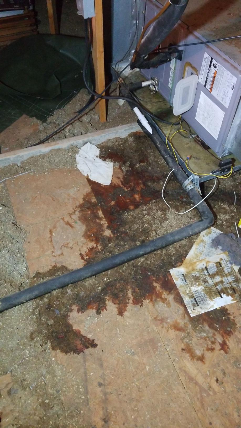 Tonya D.- Efficient Water Damage Restoration for AC Pan Overflow in Denham Springs, LA