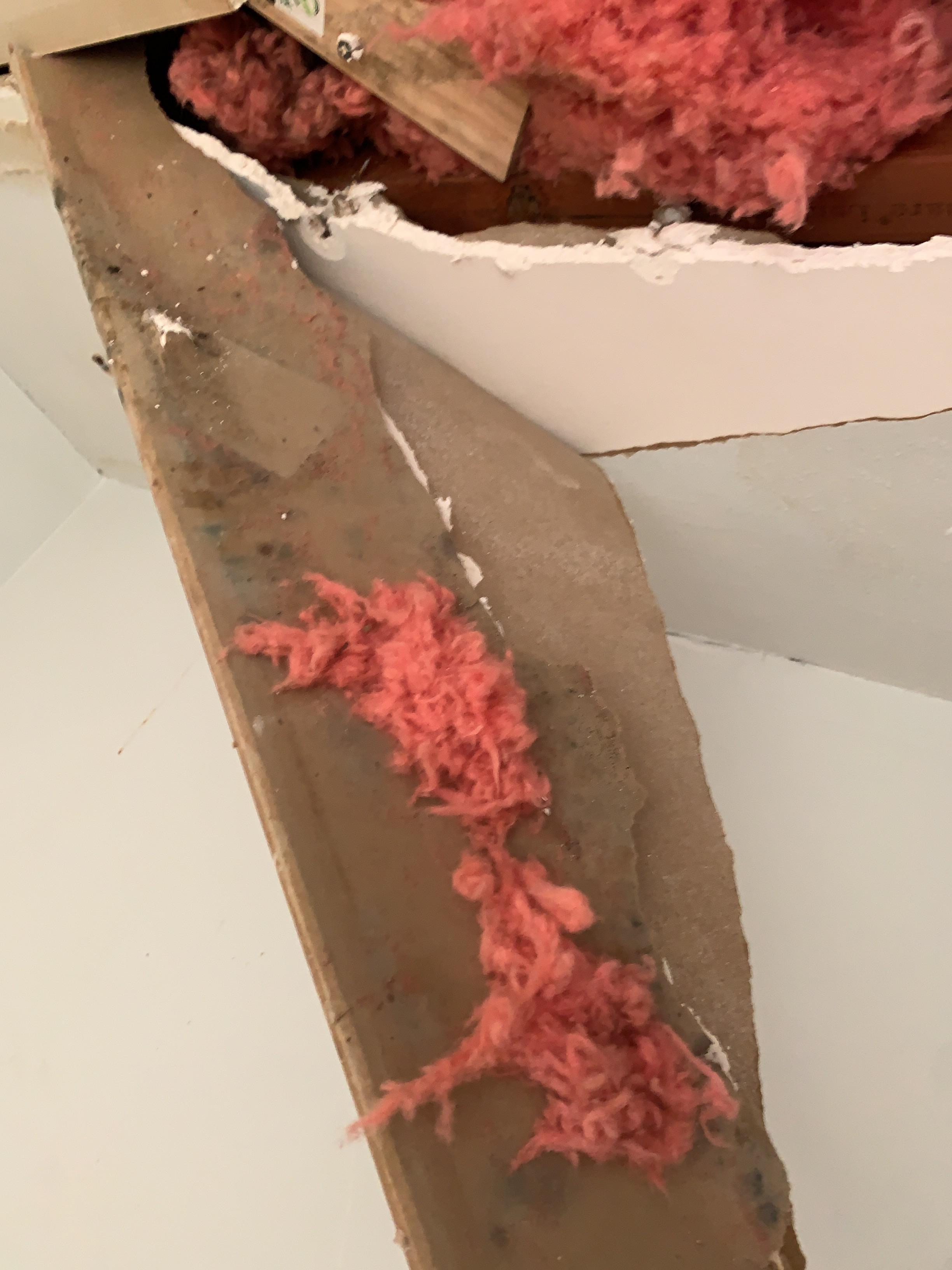 Kate L. water damage, water damage restoration, Baton Rouge LA