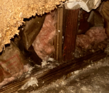 Brewton- water damage restoration, baton rouge