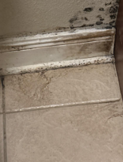 Rush- Water Damage- Baton Rouge