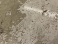 Myers- water damage restoration, baton rouge