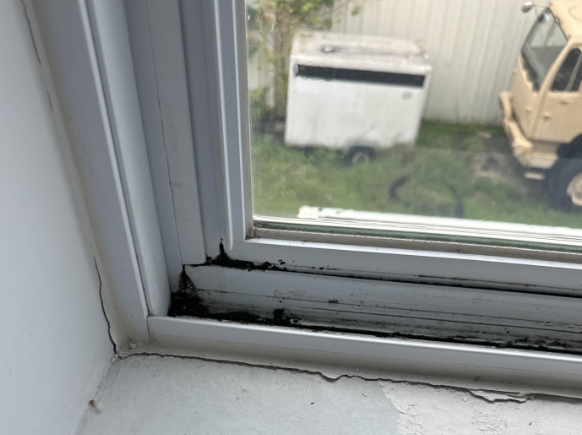 Adams-Water Damage Restoration in Baton Rouge, LA – Leaky Windows