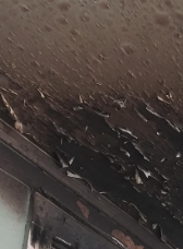 Manzo- Fire Damage- Smoke and soot cleanup