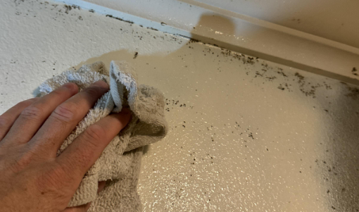 Mitchell- mold remidiation, water damage, baton rouge