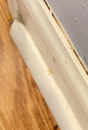 Williams- Water Damage Restoration in Baton Rouge, LA – Busted Water Line Cleanup