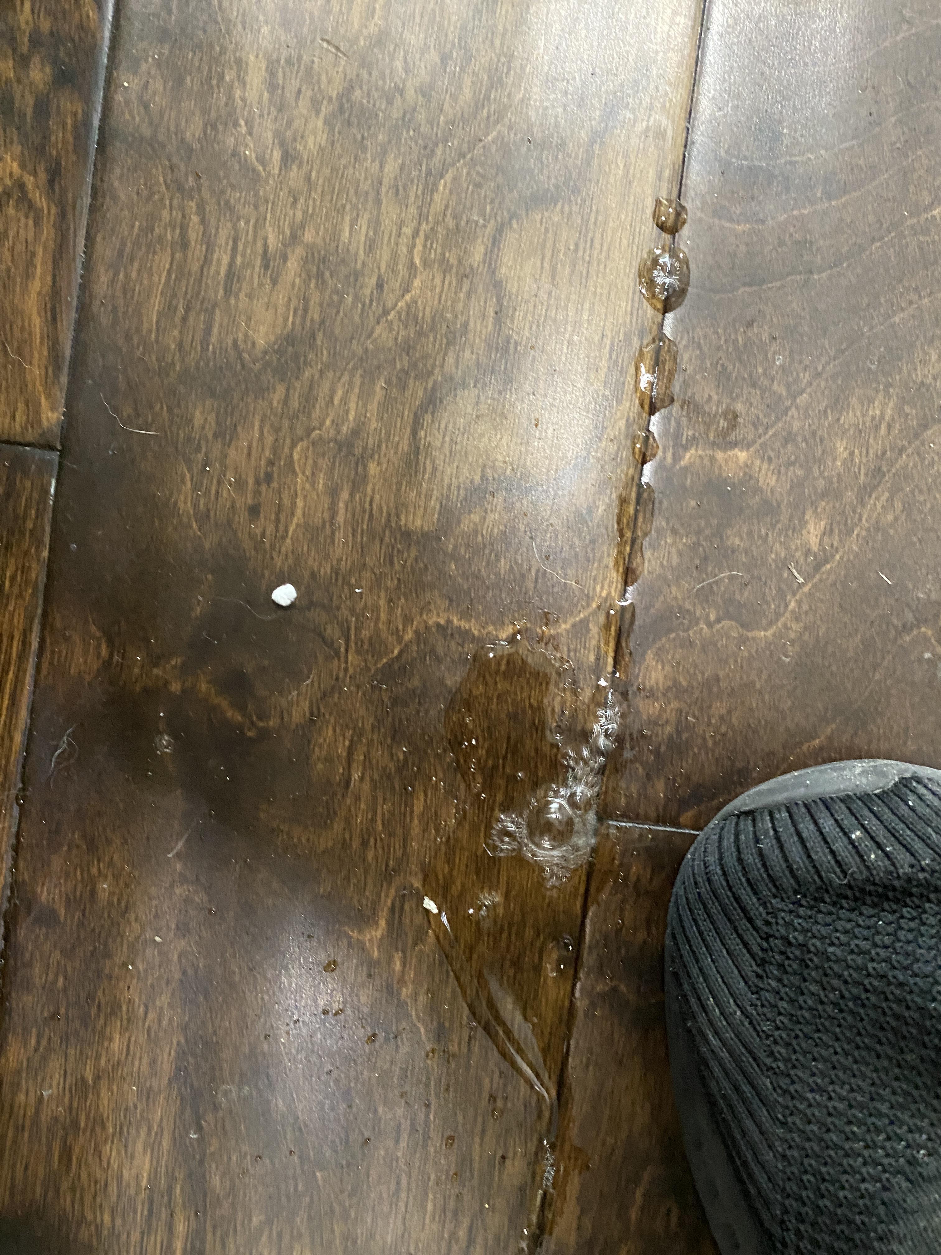 Water Seeping Through Wood floor Plaquemine