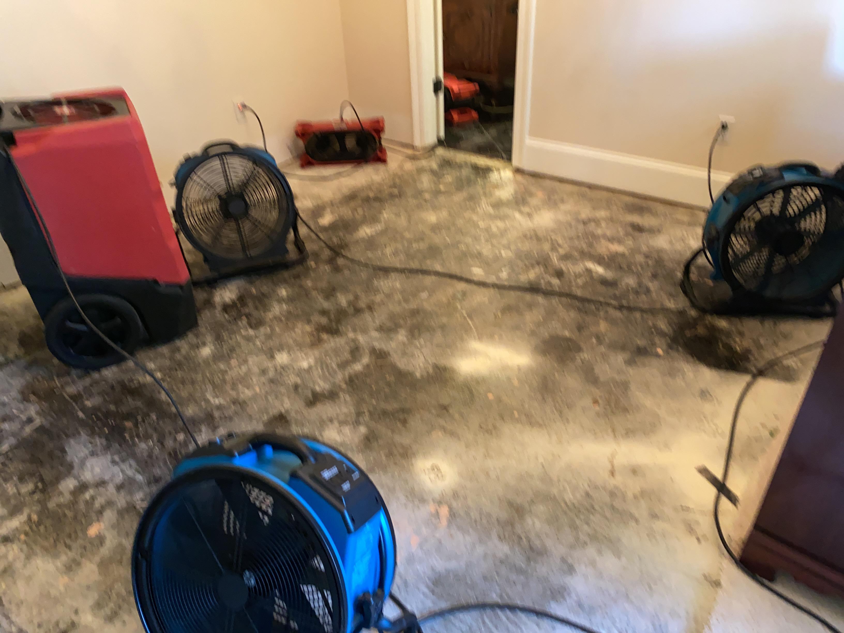 Dean H.- water damage, mold, baton rouge