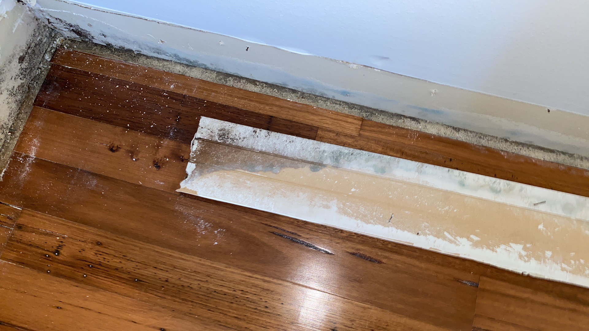 Bedroom Water Damage Luling 2