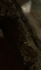 Currier-Water Damage Restoration in Baton Rouge, LA – Dishwasher Leak Mitigation