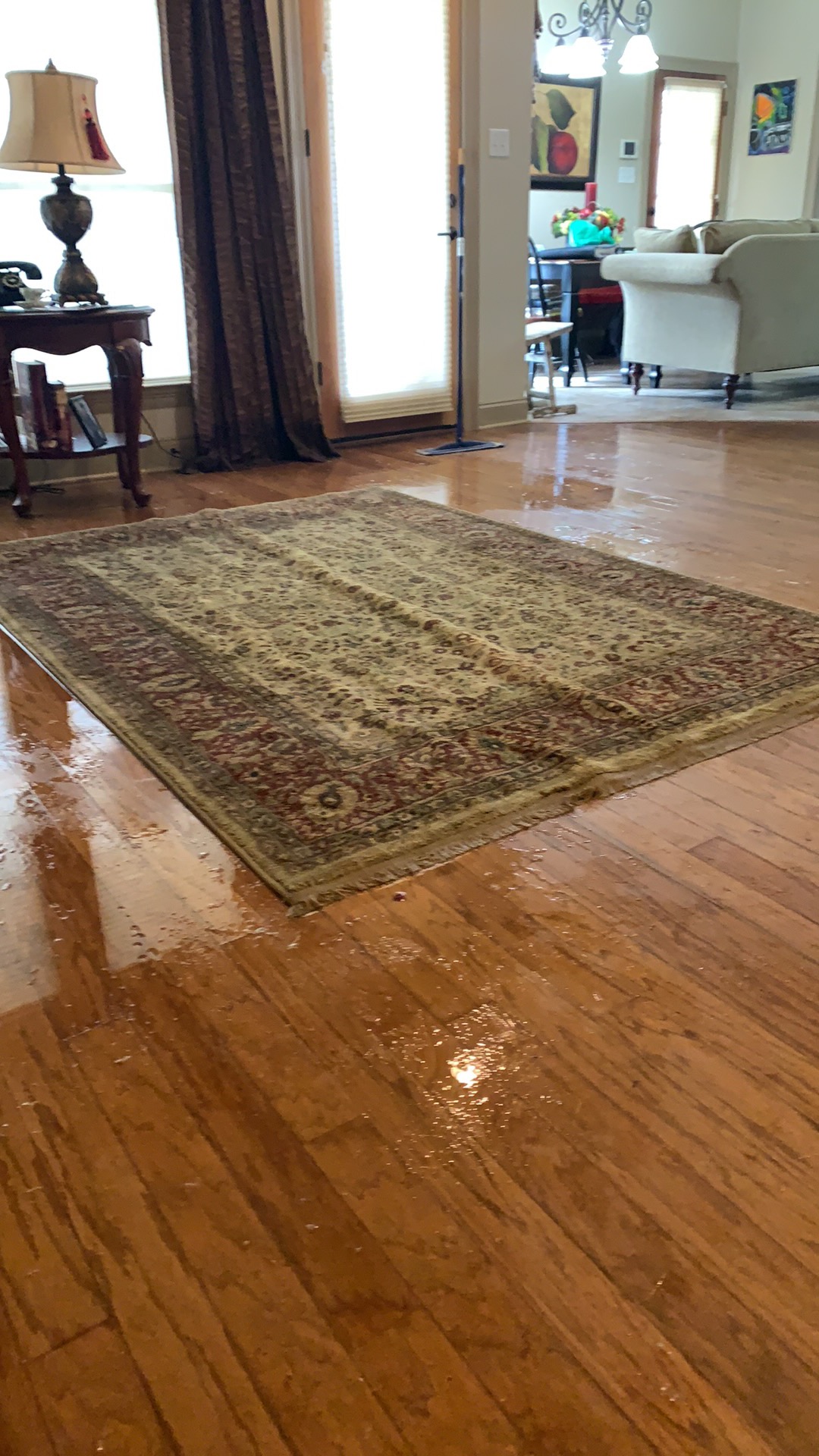 Living Room Water Damage Prairieville 3