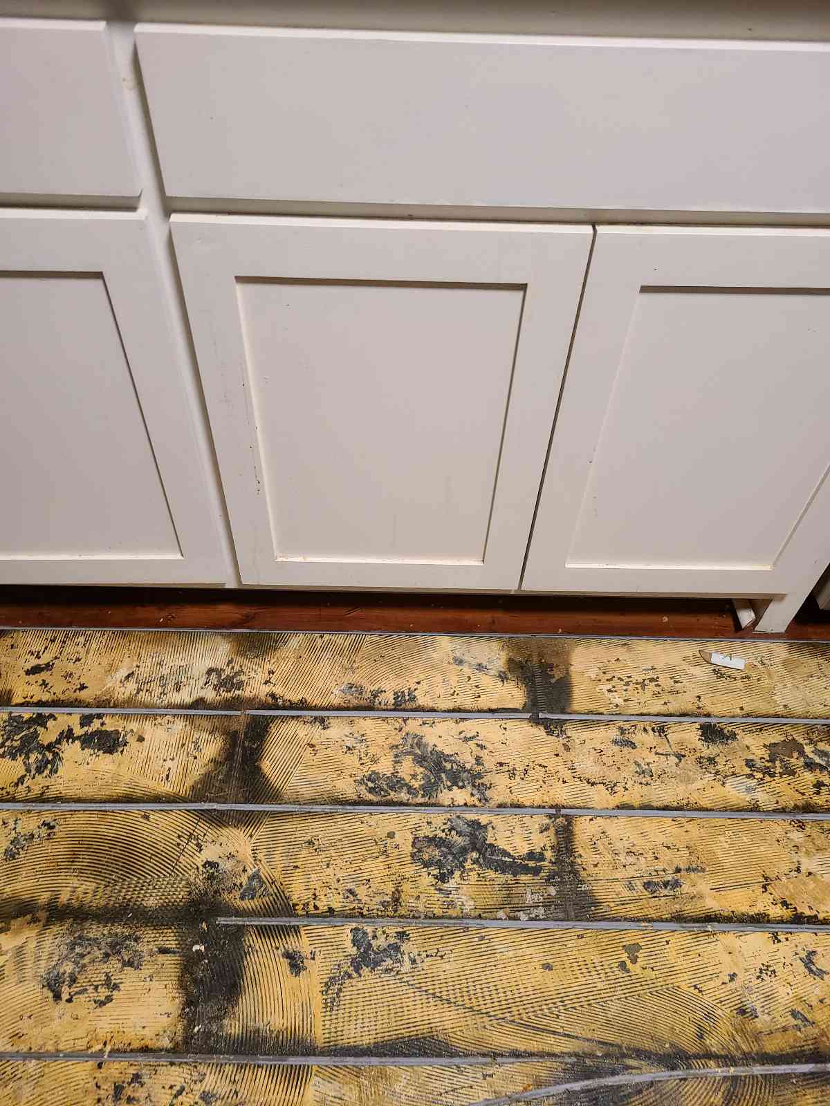 Chris B.- water damage, mold damage, baton rouge