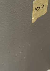 Merkle - water damage, leaky toilet, Baton Rouge LA