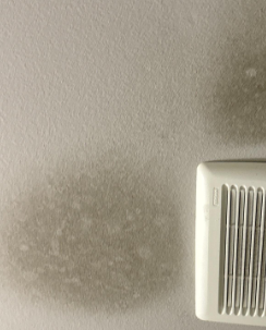 Southall- Water Damage Baton Rouge
