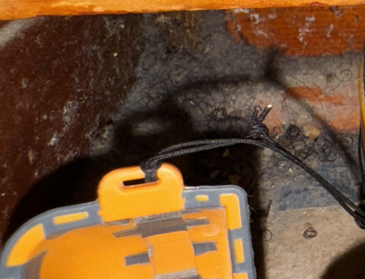 Busted Pipe Behind Wall- Water Mitigation