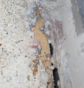 Cypress - slab leak, leak detection, water damage, Baton Rouge