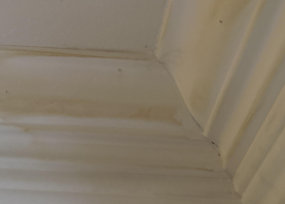 Dooley- water damage, leak, baton rouge