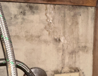 Mayuri- mold damage, water damage, baton rouge