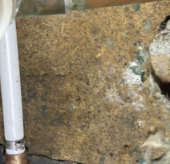 Brignac- water damage restoration, baton rouge