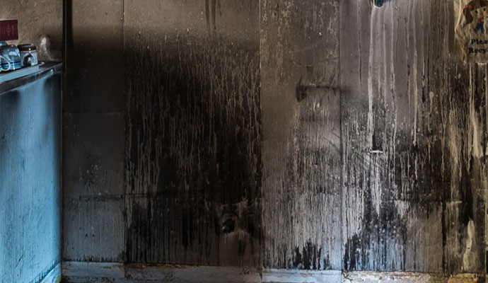 Smoke Damage Assessment in Baton Rouge, LA