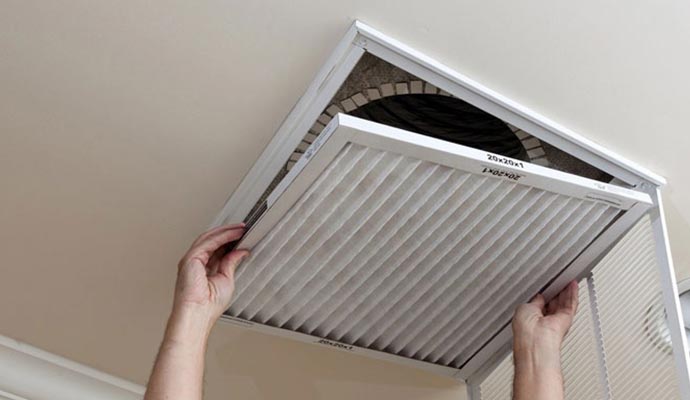Mold in My Air Ducts