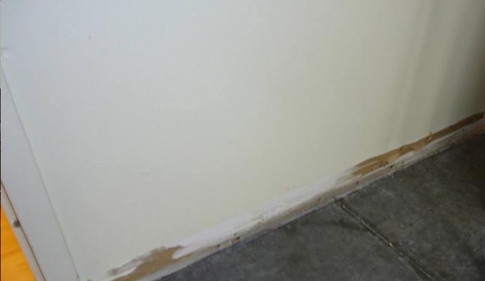 Mold in the Home