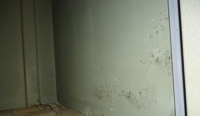 Mold Removal 2