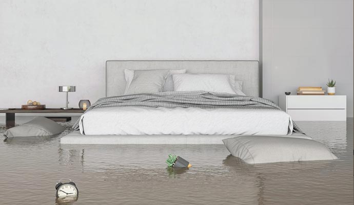 Professional Water Damage Restoration