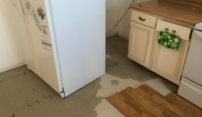 Appliance leak cleanup service