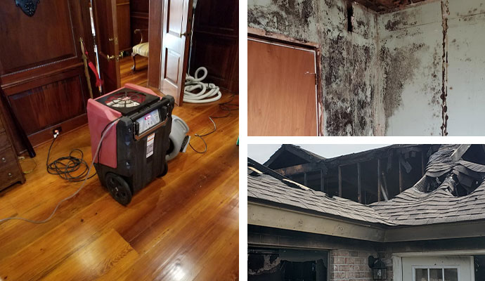 Water, Mold, Fire & Smoke Restoration