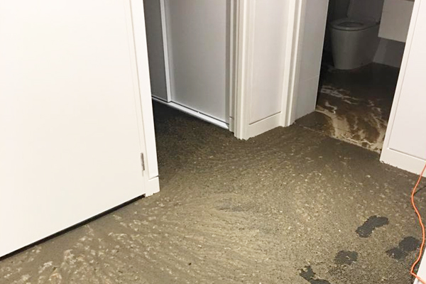 Sewage Damage Cleanup & Water Removal