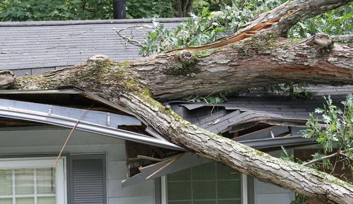 Storm Damage Restoration