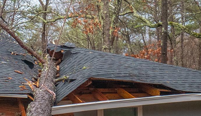 A tree fell on the house because of a storm in Slaughter.