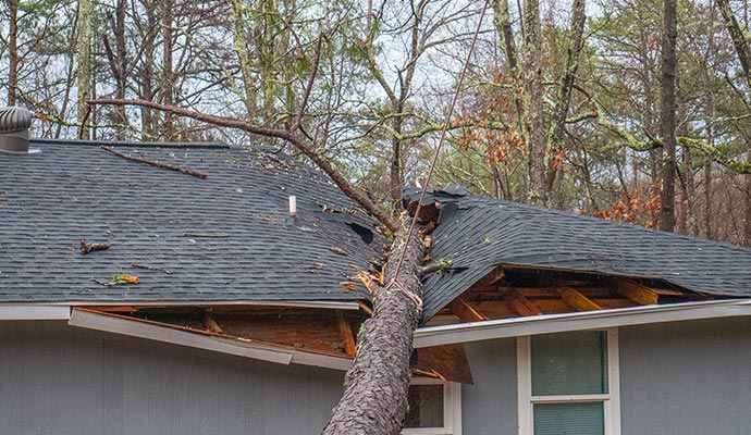 Wind damage restoration service