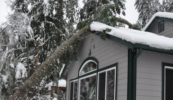 Winter Storm Damage in Baton Rouge