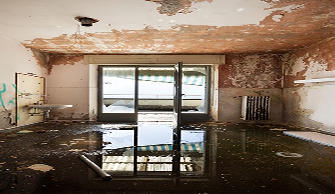 Water Damage Remediation In Baton Rouge