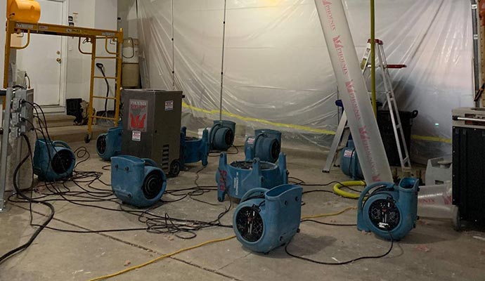 Mold Removal Albany Ny