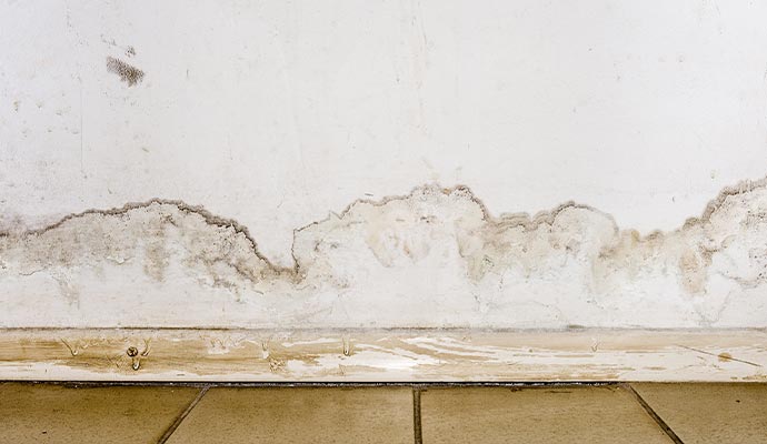 Water leaks and mold growing on the wall