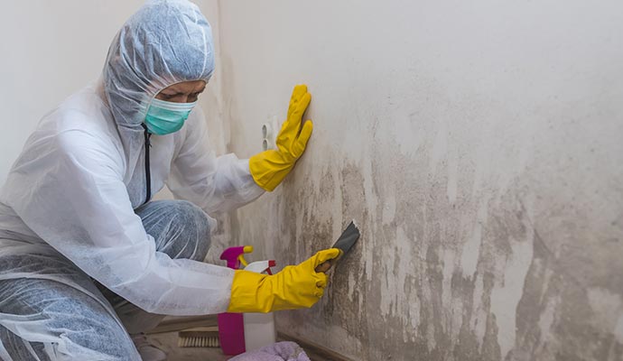 worker removes mold from wall using mold removal products mold remediation services